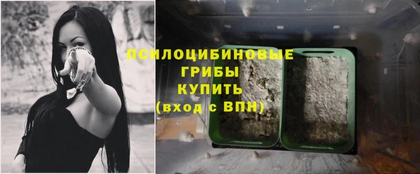 a pvp Абинск